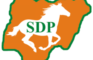 sdp1-1-490×315