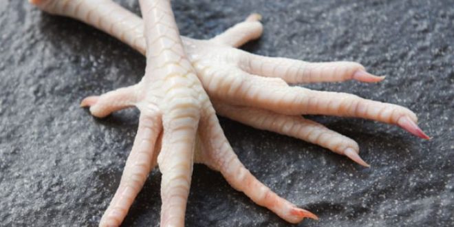 CHICKEN-FEET-660×330