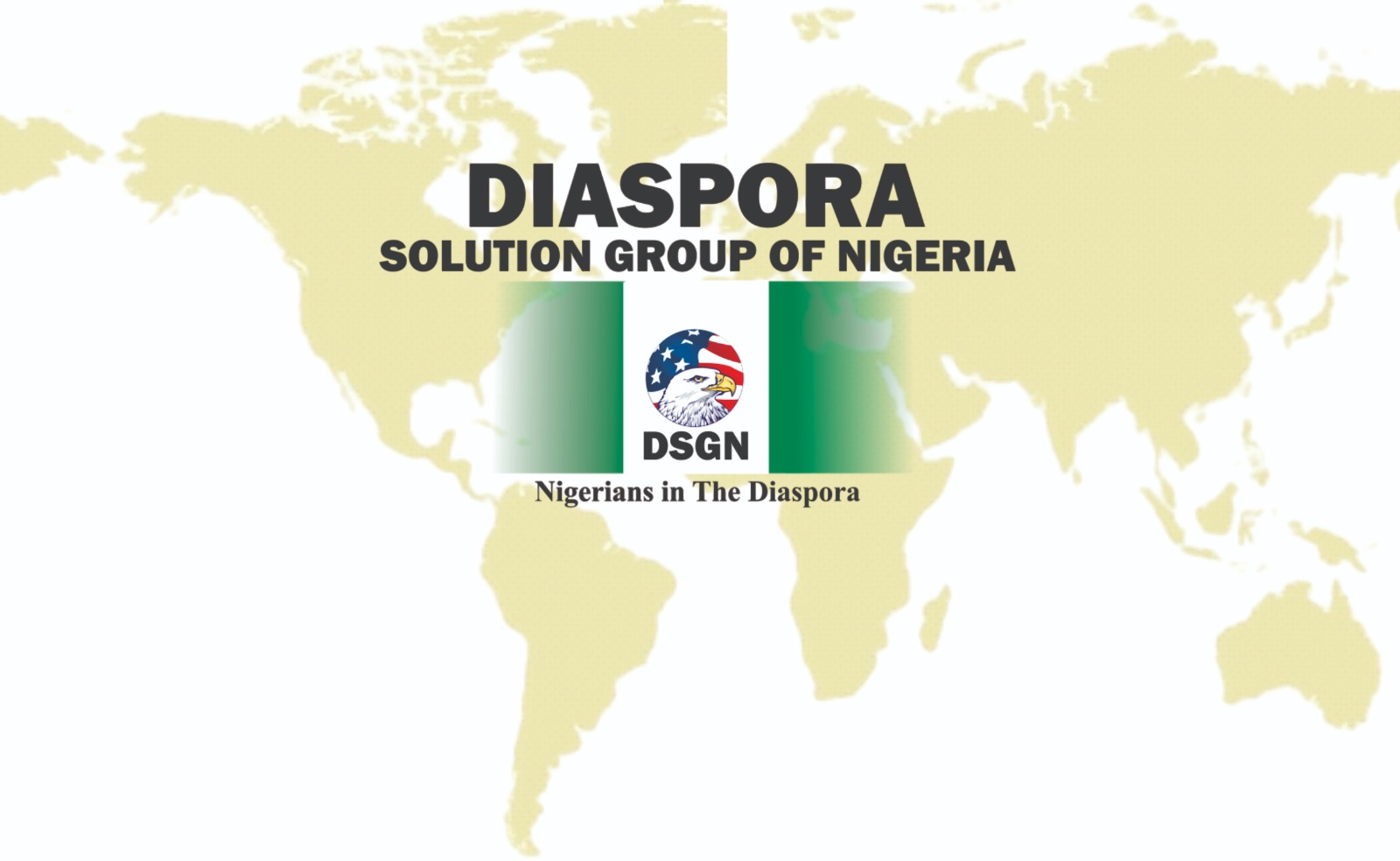 Diaspora Solution Group (4)